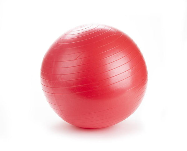 Therapy Ball